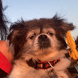 Meet your Posher, Sofia